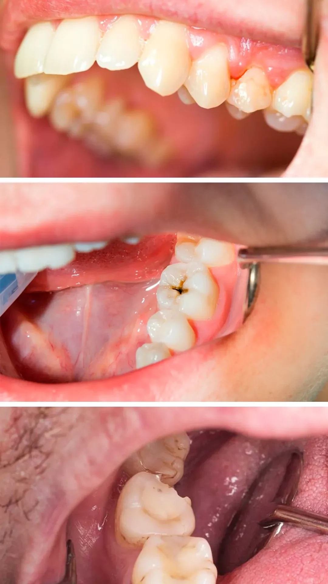 Exemplos mobile Rasteli copiar 2